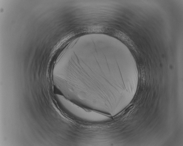 X0000067500674200605051804