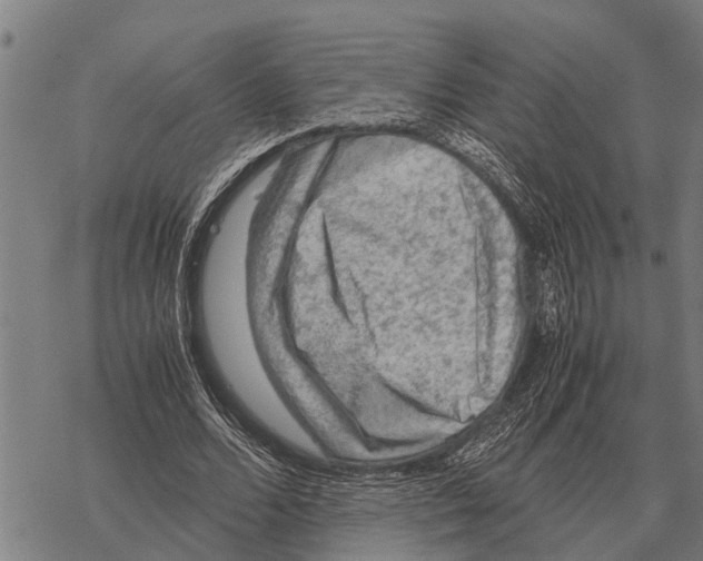 X0000067500680200605051804