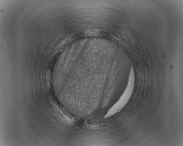X0000067500712200605051803