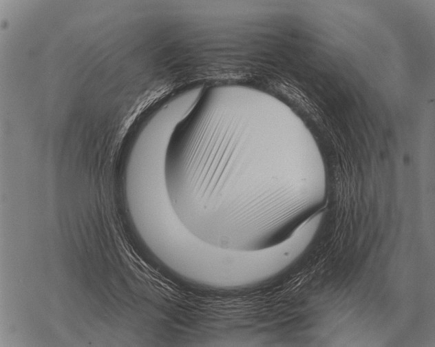 X0000067500731200605051803
