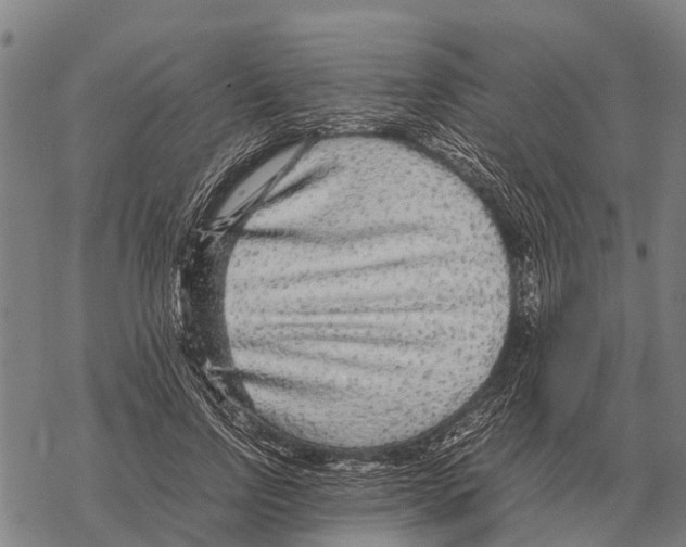 X0000067500742200605051803