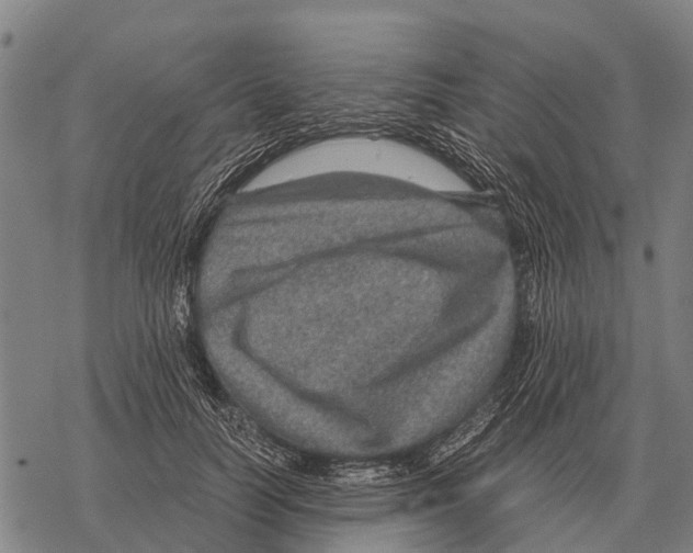 X0000067500746200605051803