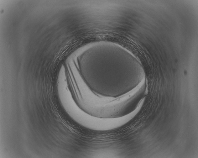 X0000067500750200605051803