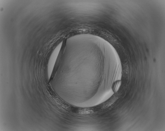 X0000067500754200605051803