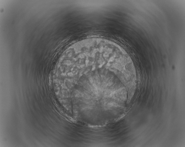 X0000067500761200605051803