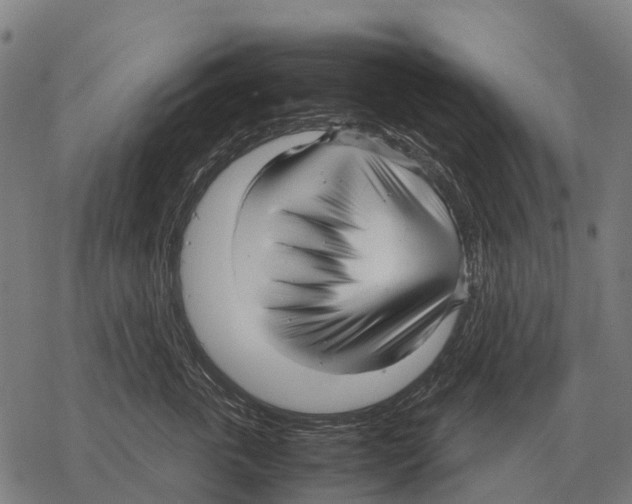 X0000067500763200605051803
