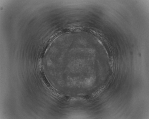 X0000067500767200605051803