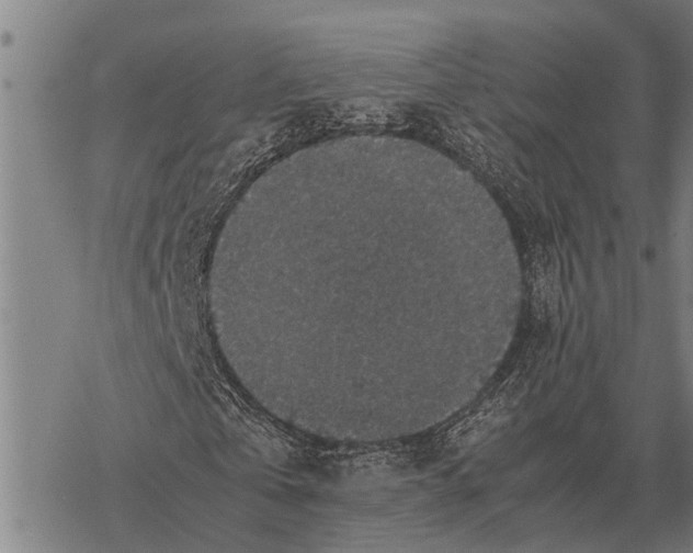 X0000067500769200605051802
