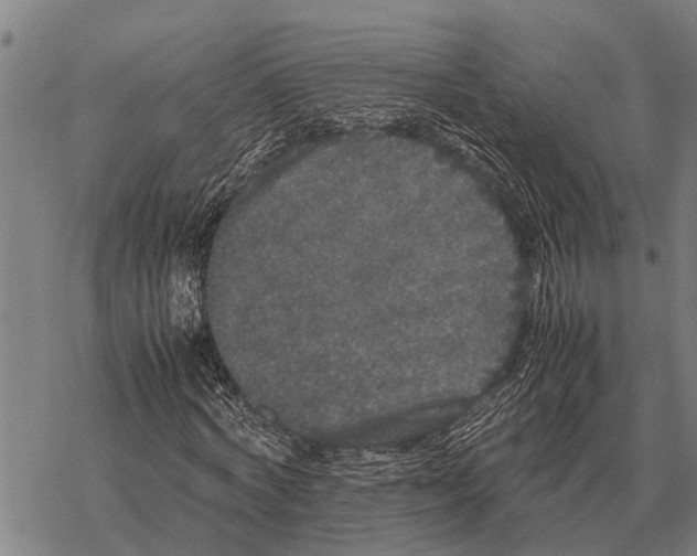 X0000067500772200605051802