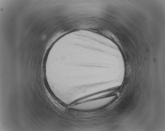 X0000067500795200605051802