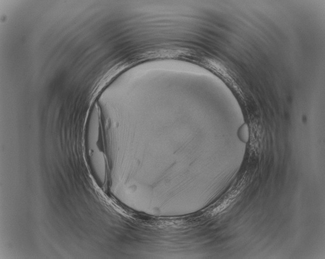 X0000067500802200605051802