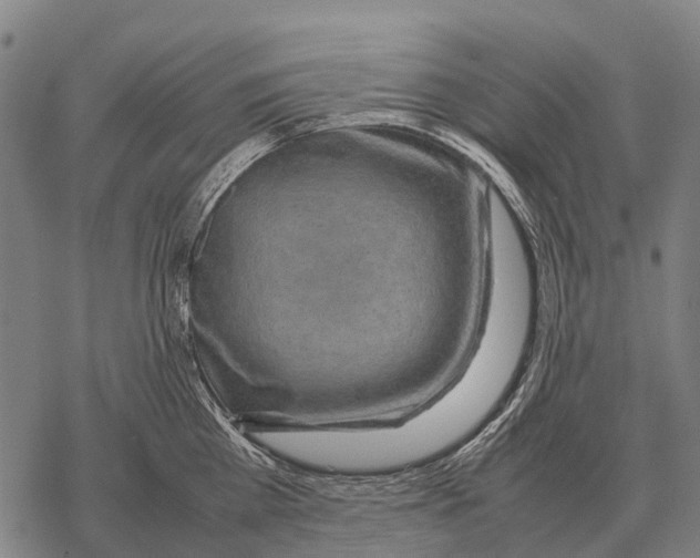 X0000067500809200605051802
