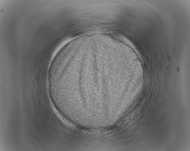 X0000067500811200605051802