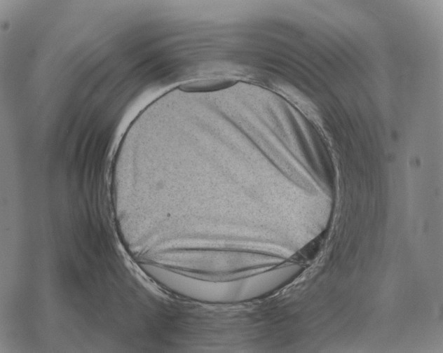 X0000067500816200605051802