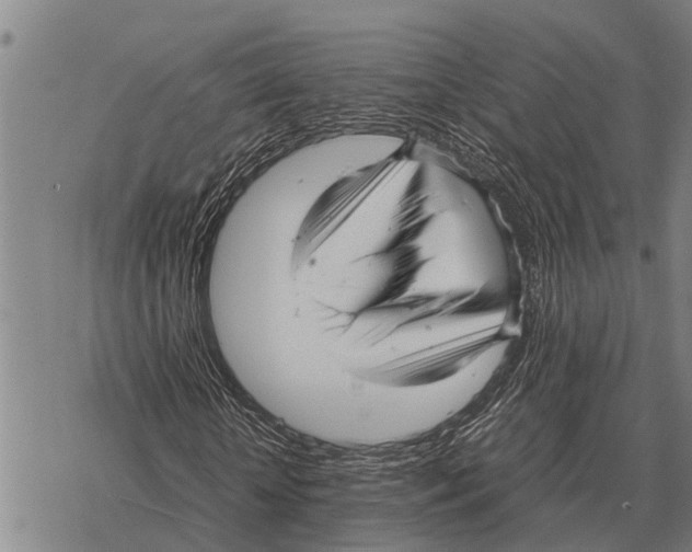X0000067500818200605051801