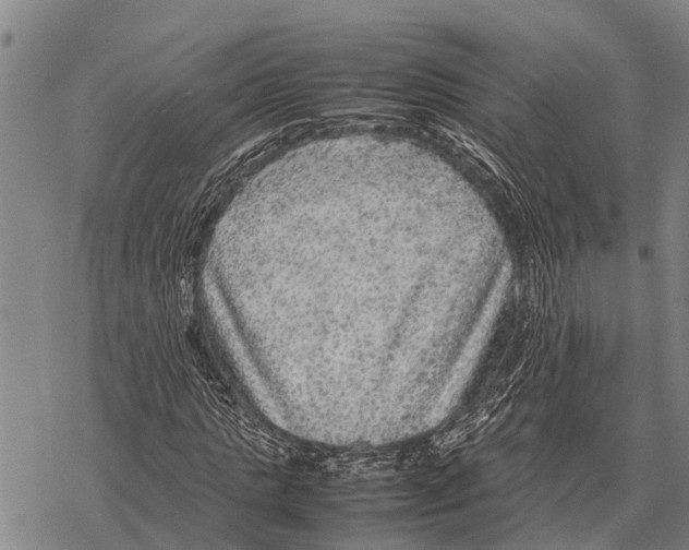 X0000067500821200605051801