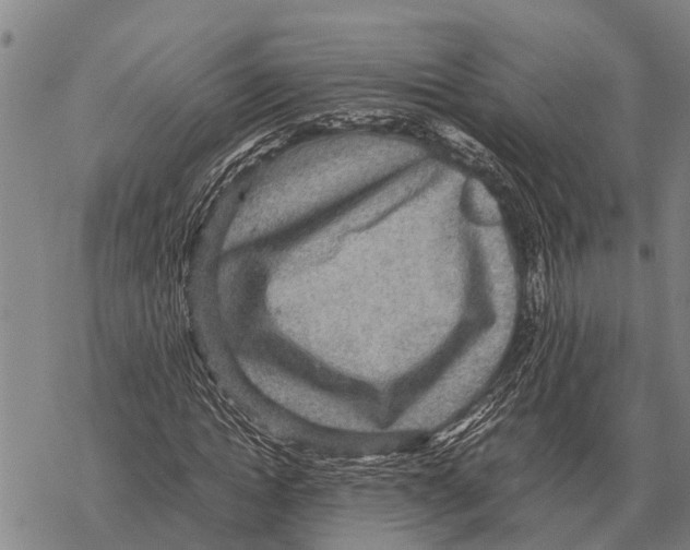 X0000067500822200605051801