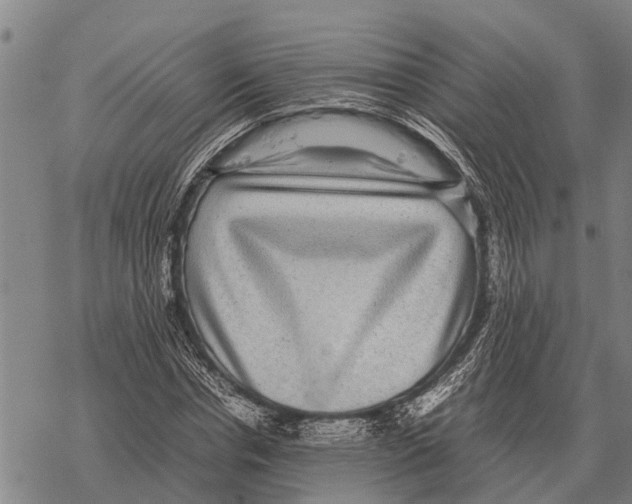 X0000067500826200605051801
