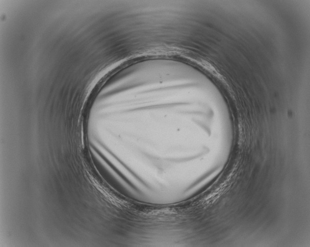 X0000067500838200605051801