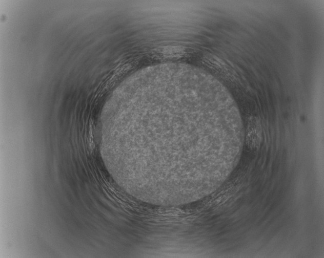 X0000067500866200605051801