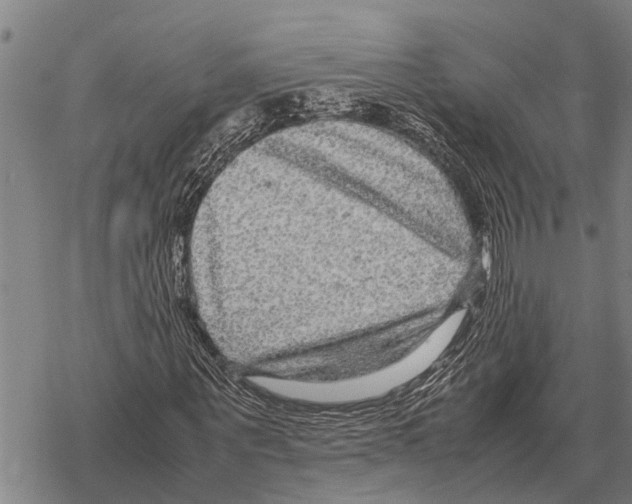 X0000067500867200605051801