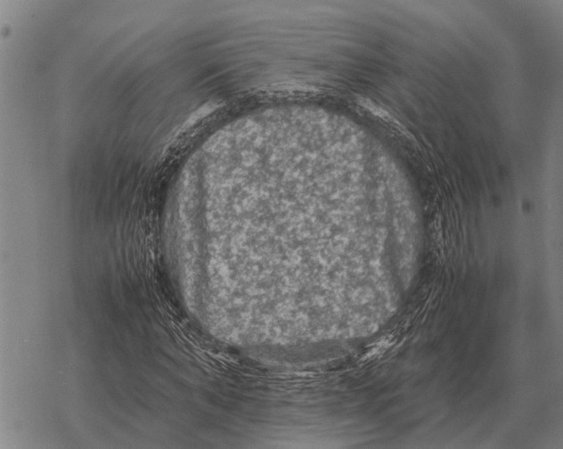 X0000067500870200605051801