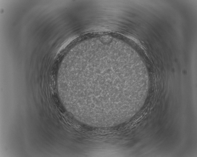 X0000067500871200605051801