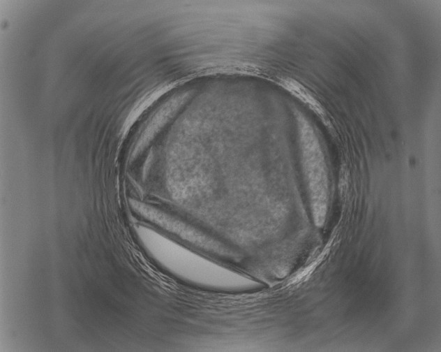 X0000067500877200605051800
