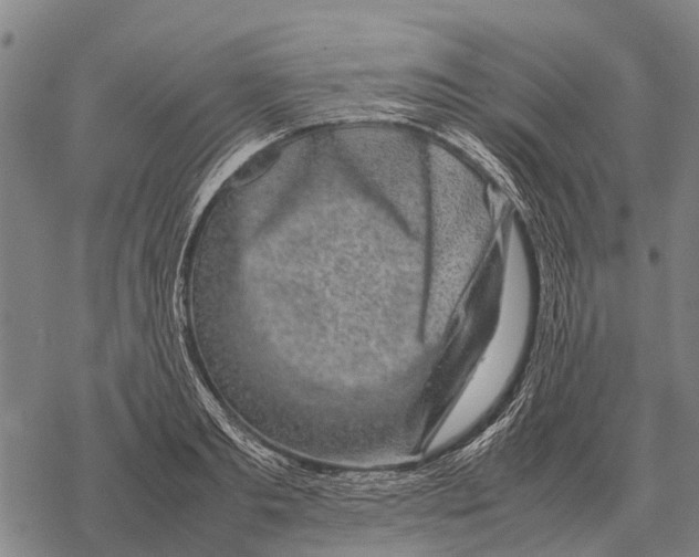 X0000067500893200605051800