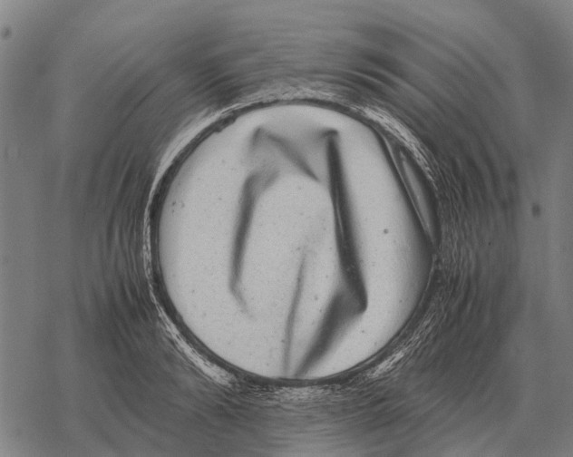 X0000067500894200605051800