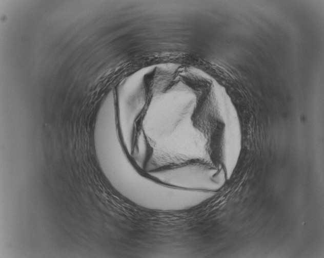 X0000067500917200605051759