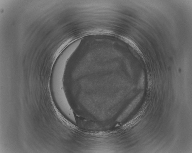 X0000067500946200605051800