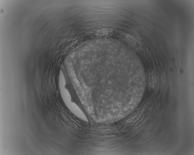 X0000067500962200605051759