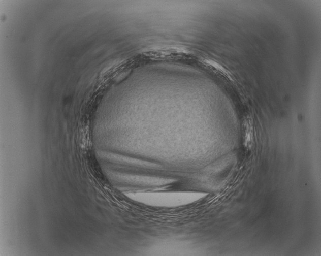 X0000067500965200605051759