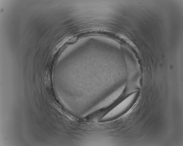 X0000067500969200605051759