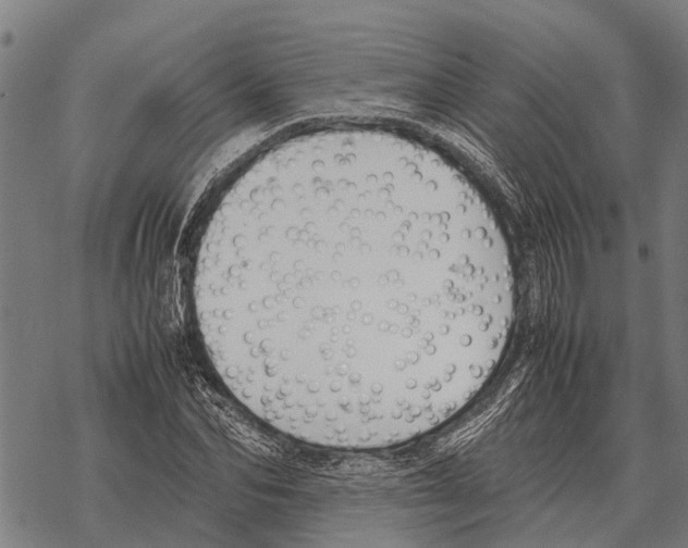 X0000067500974200605051759