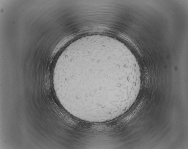X0000067500978200605051759