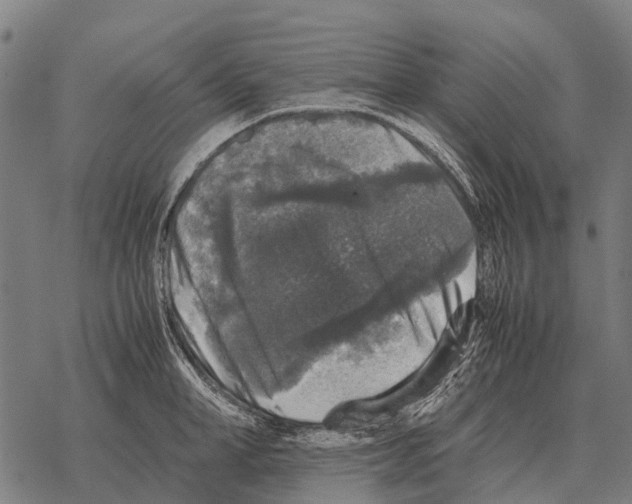 X0000067500998200605051759