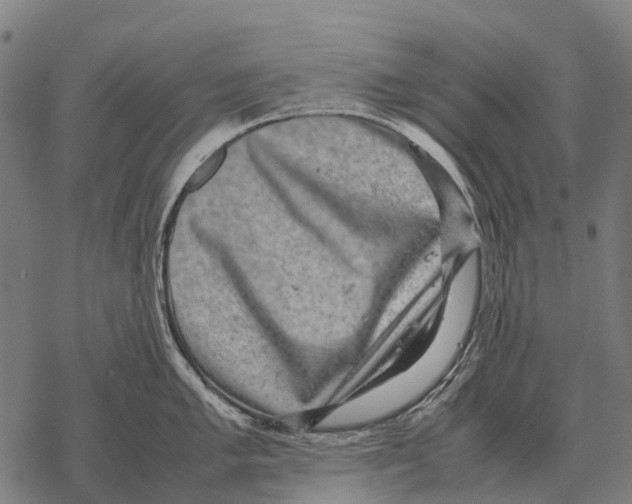 X0000067501005200605051758
