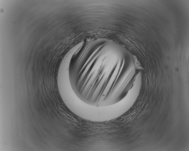 X0000067501010200605051758