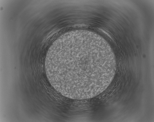 X0000067501015200605051758