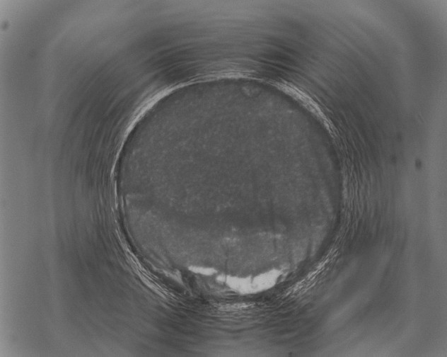 X0000067501031200605051758