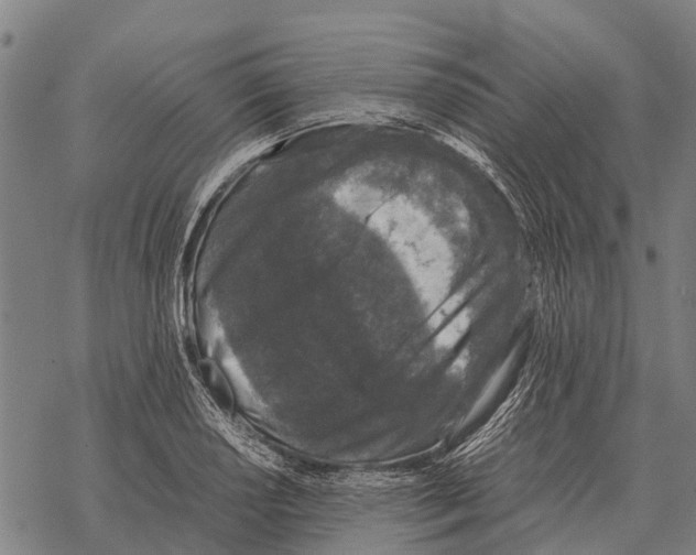 X0000067501034200605051758