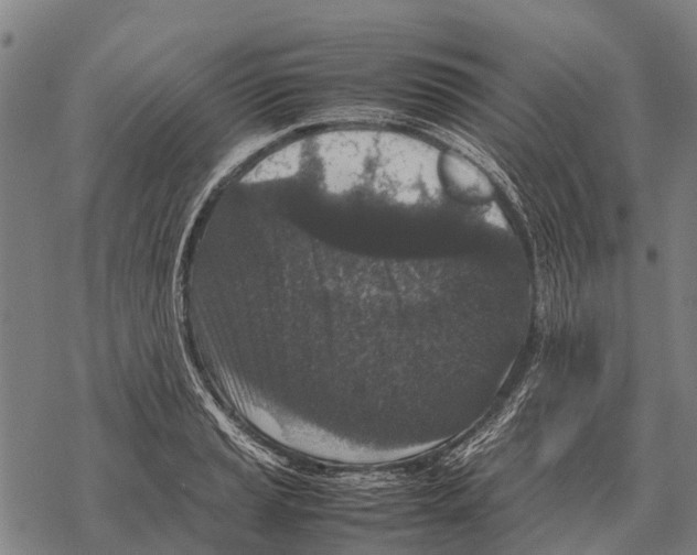 X0000067501037200605051758