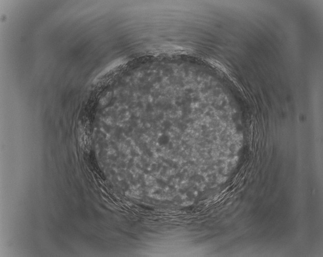 X0000067501063200605051757
