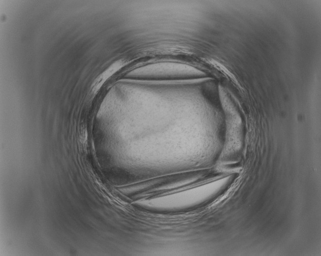X0000067501065200605051757