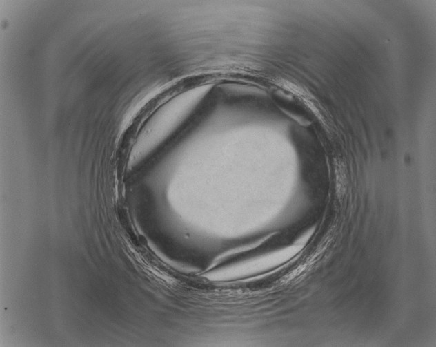 X0000067501069200605051757