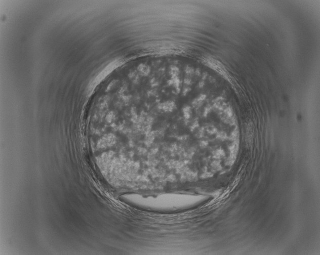 X0000067501071200605051757