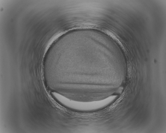 X0000067501085200605051757