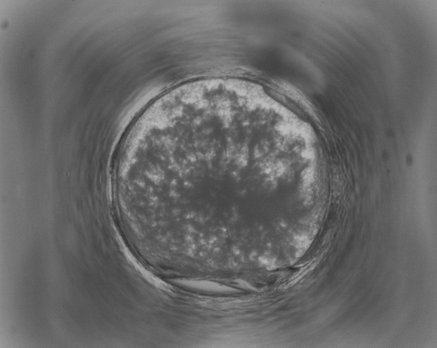 X0000067501095200605051757